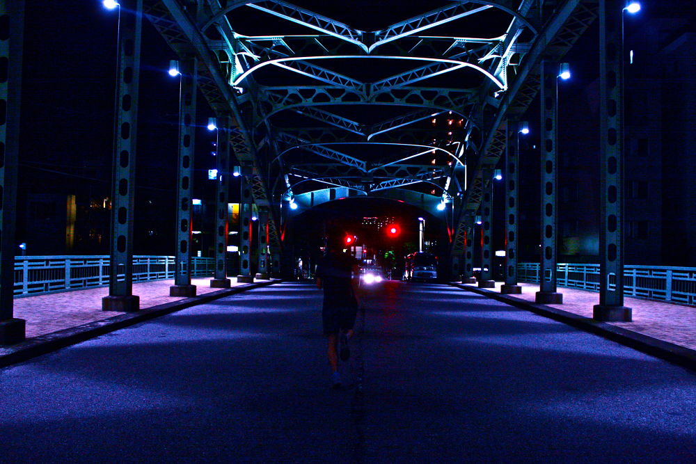 東京ナイトブリッジラン其ノ壱7.3kmの写真4