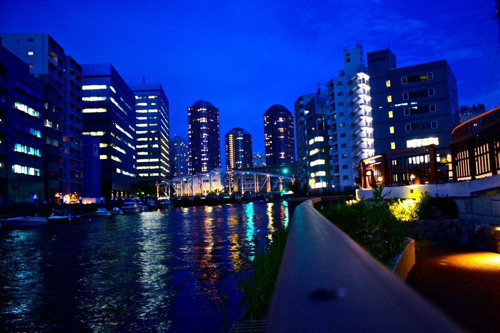 東京ナイトブリッジラン其ノ壱7.3kmの写真6