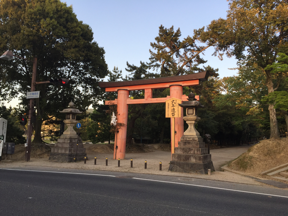 夕暮れ時の奈良公園7kmの写真3