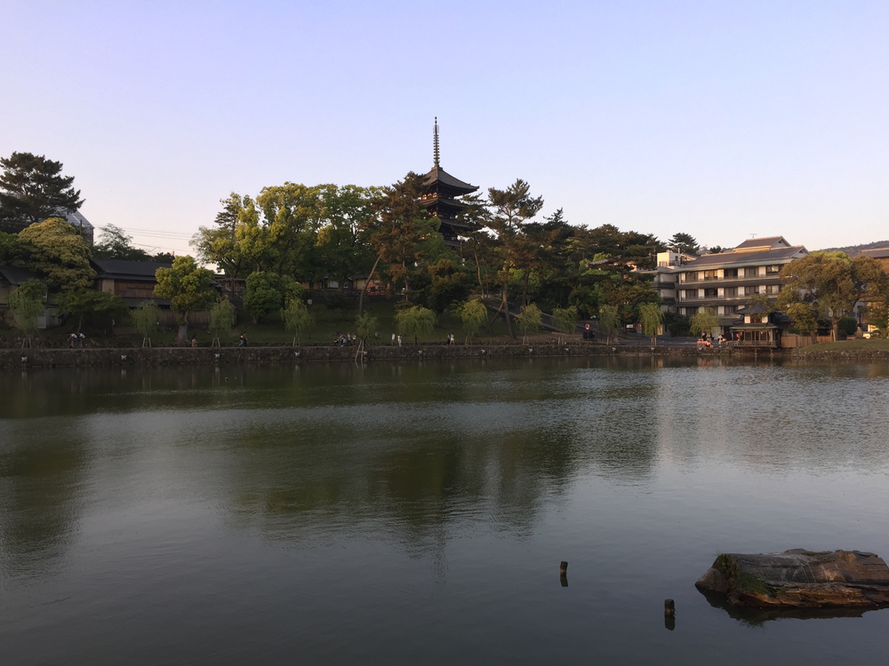 夕暮れ時の奈良公園7kmの写真4