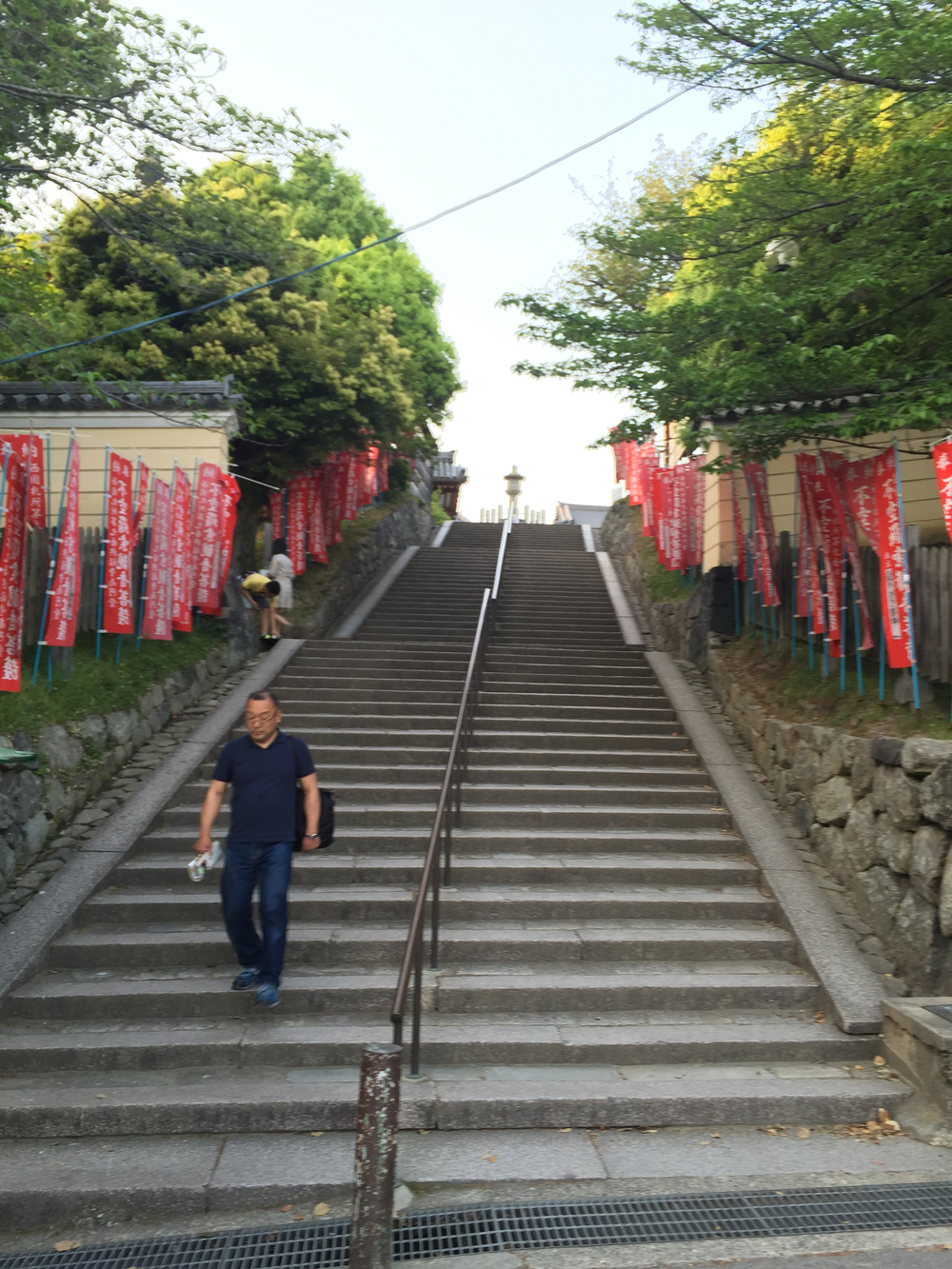 夕暮れ時の奈良公園7kmの写真5