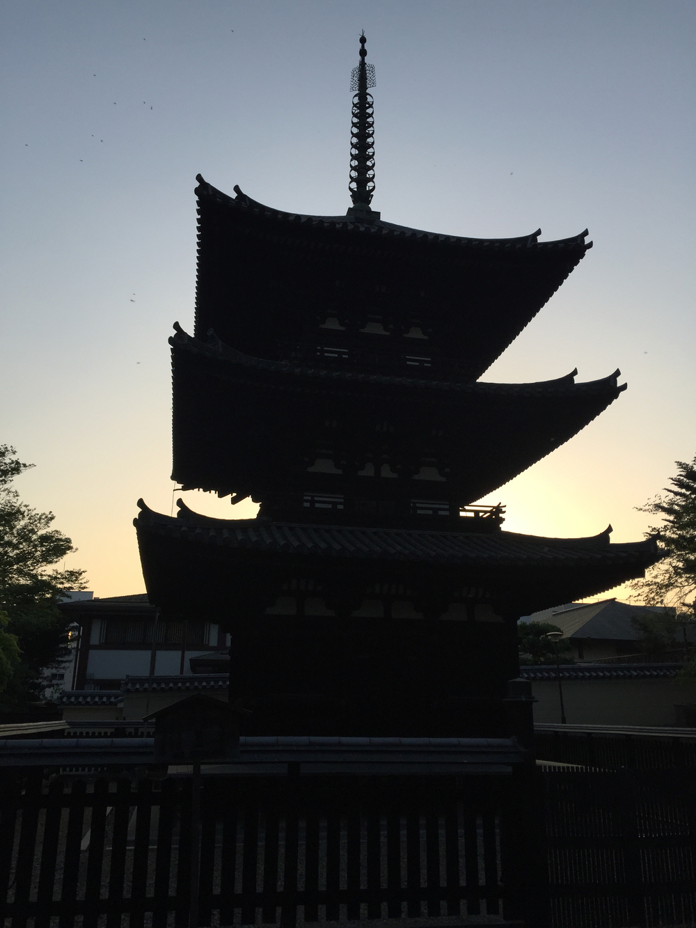 夕暮れ時の奈良公園7kmの写真6