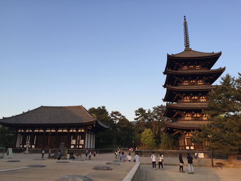 夕暮れ時の奈良公園7kmの写真8