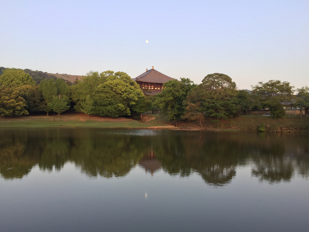 夕暮れ時の奈良公園7kmの写真9