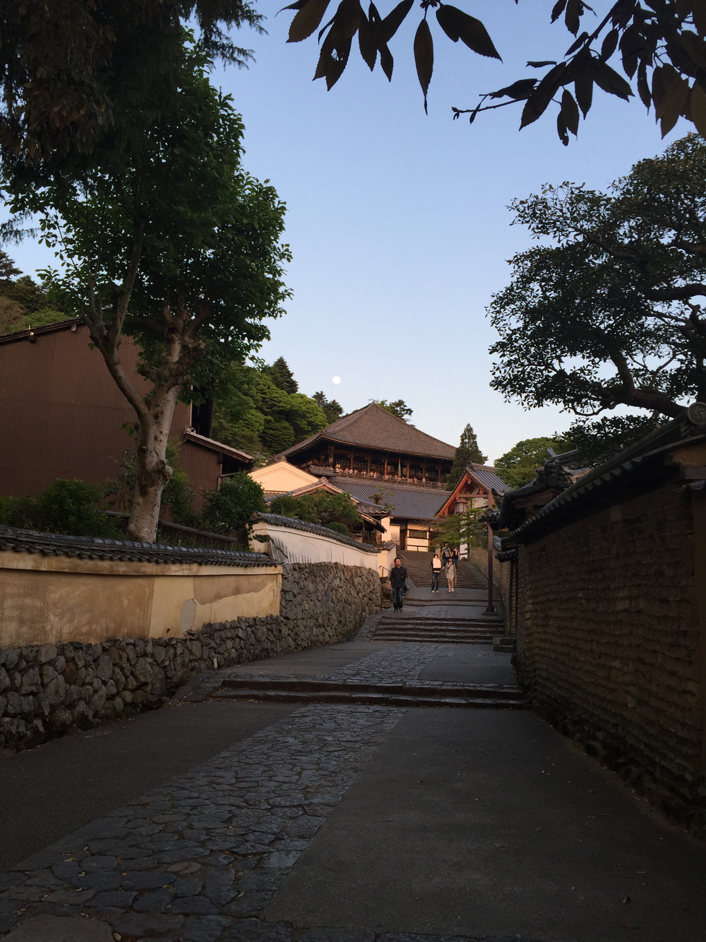 夕暮れ時の奈良公園7kmの写真10