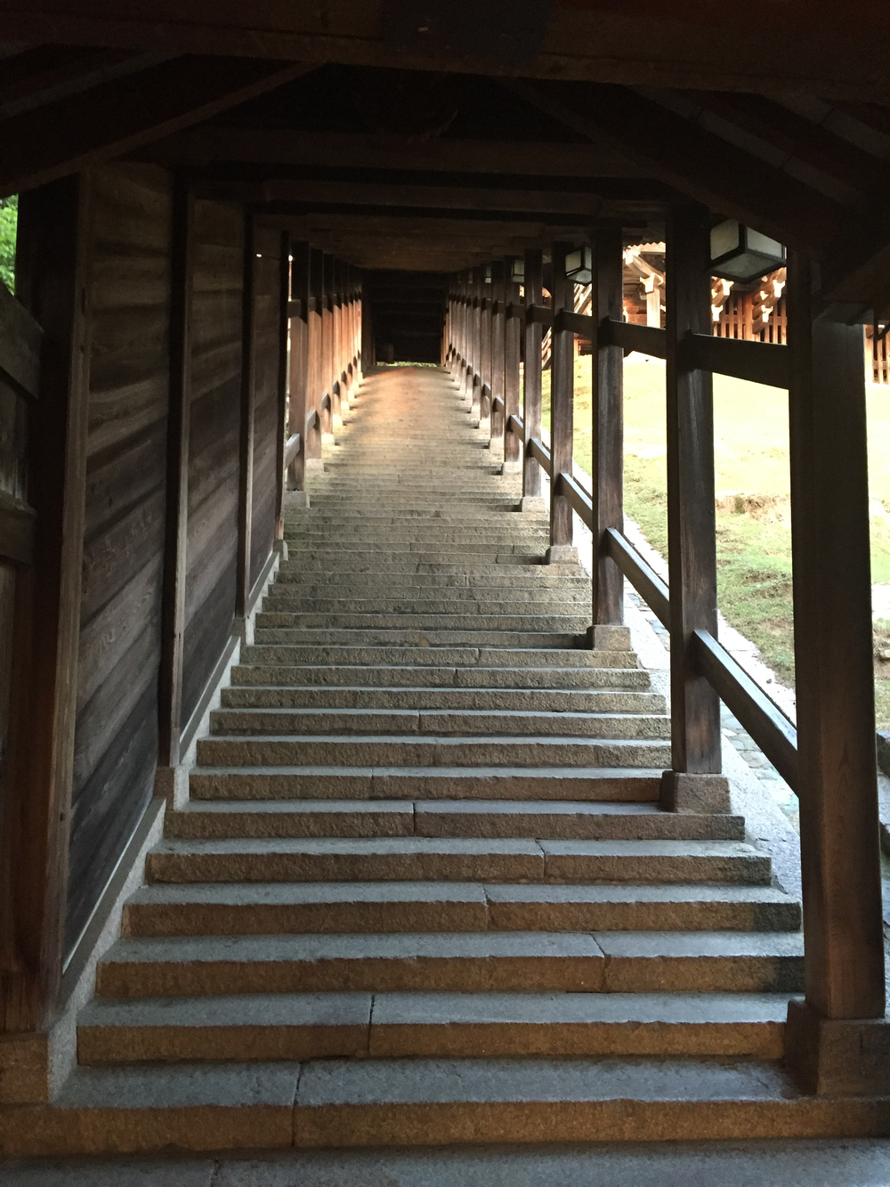 夕暮れ時の奈良公園7kmの写真11