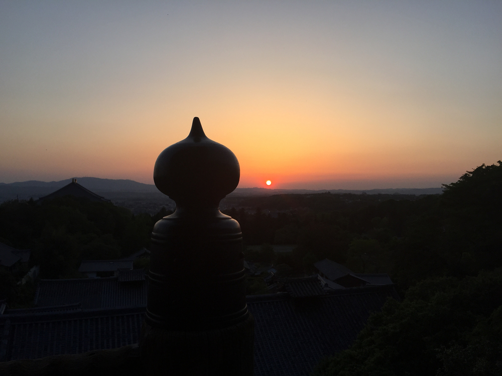 夕暮れ時の奈良公園7kmの写真12