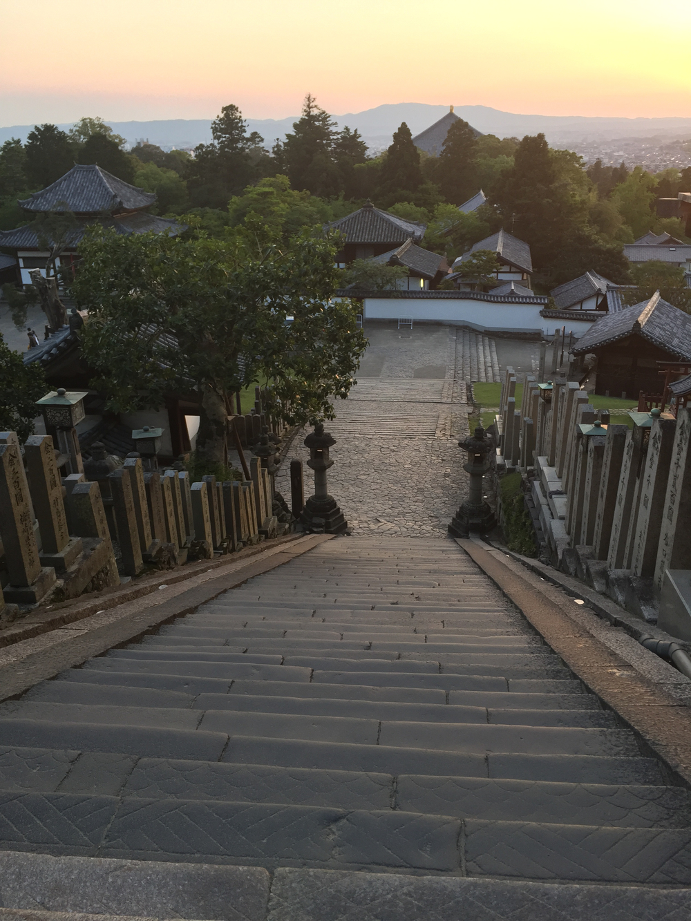 夕暮れ時の奈良公園7kmの写真13