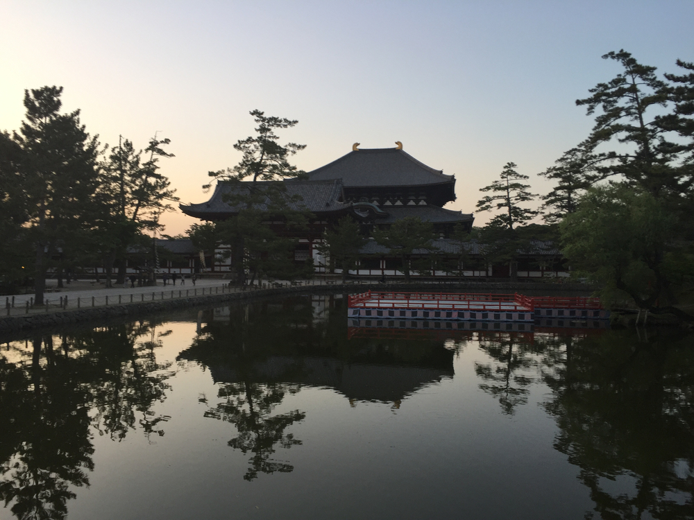 夕暮れ時の奈良公園7kmの写真14