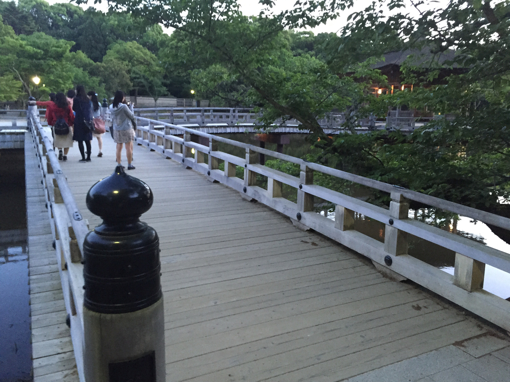 夕暮れ時の奈良公園7kmの写真17