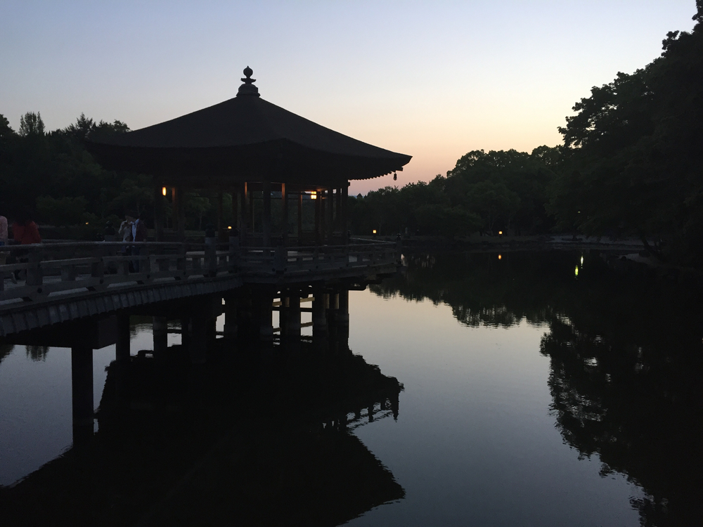 夕暮れ時の奈良公園7kmの写真18