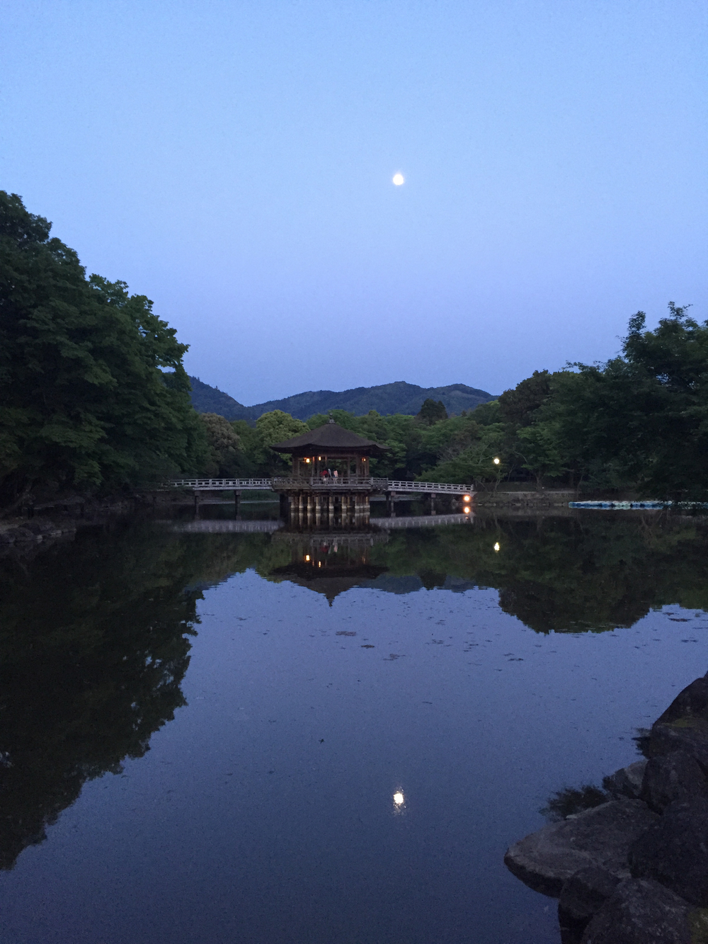夕暮れ時の奈良公園7kmの写真19