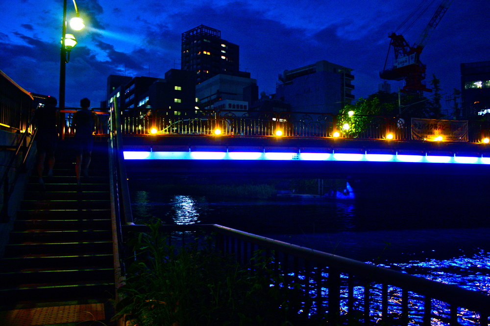 東京ナイトブリッジラン其ノ弐8.0kmの写真3