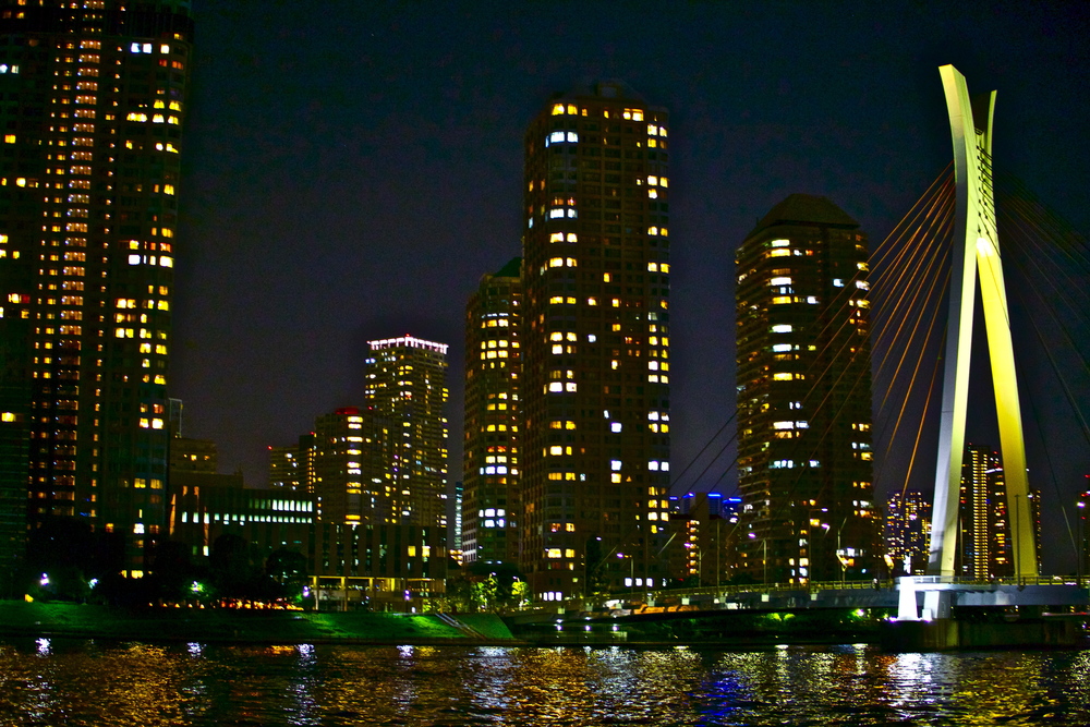 東京ナイトブリッジラン其ノ弐8.0kmの写真4