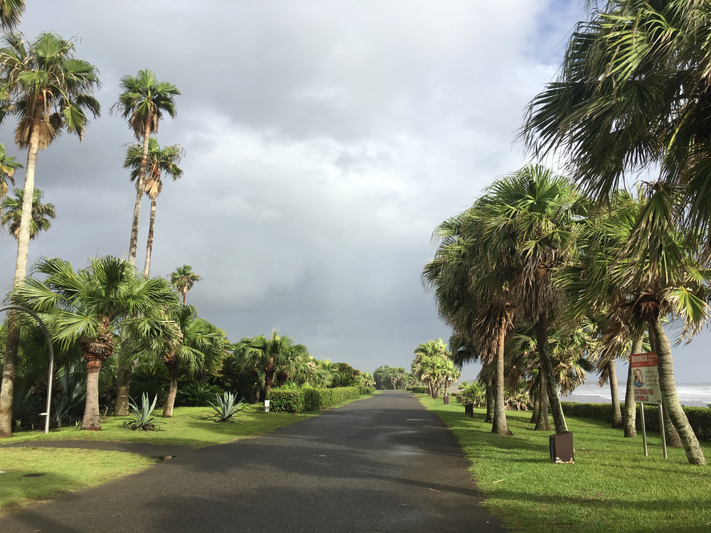 宮崎 密林の青島一周ラン 3.5kmの写真3