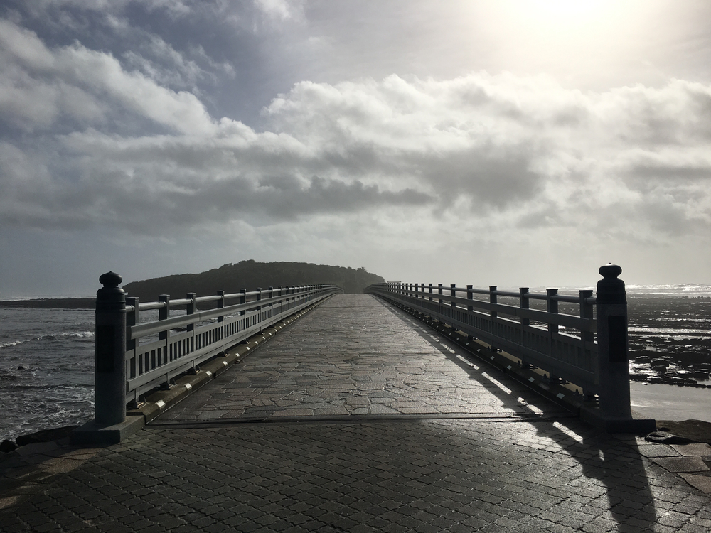 宮崎 密林の青島一周ラン 3.5kmの写真4