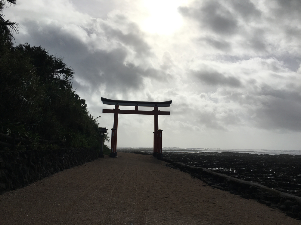 宮崎 密林の青島一周ラン 3.5kmの写真5