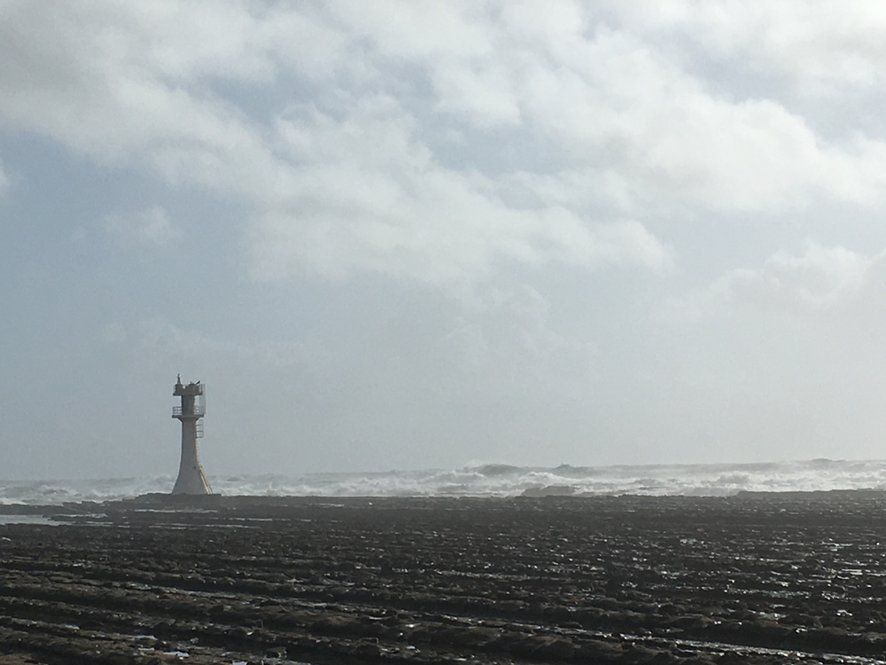 宮崎 密林の青島一周ラン 3.5kmの写真6