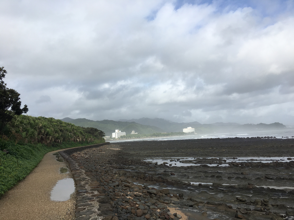 宮崎 密林の青島一周ラン 3.5kmの写真7
