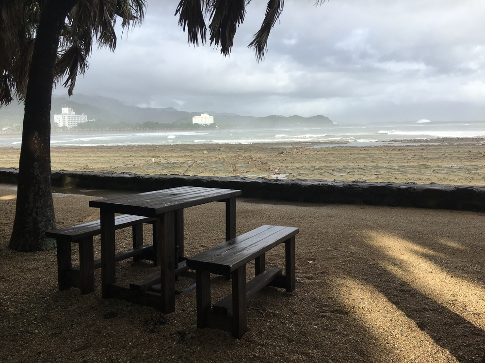 宮崎 密林の青島一周ラン 3.5kmの写真8