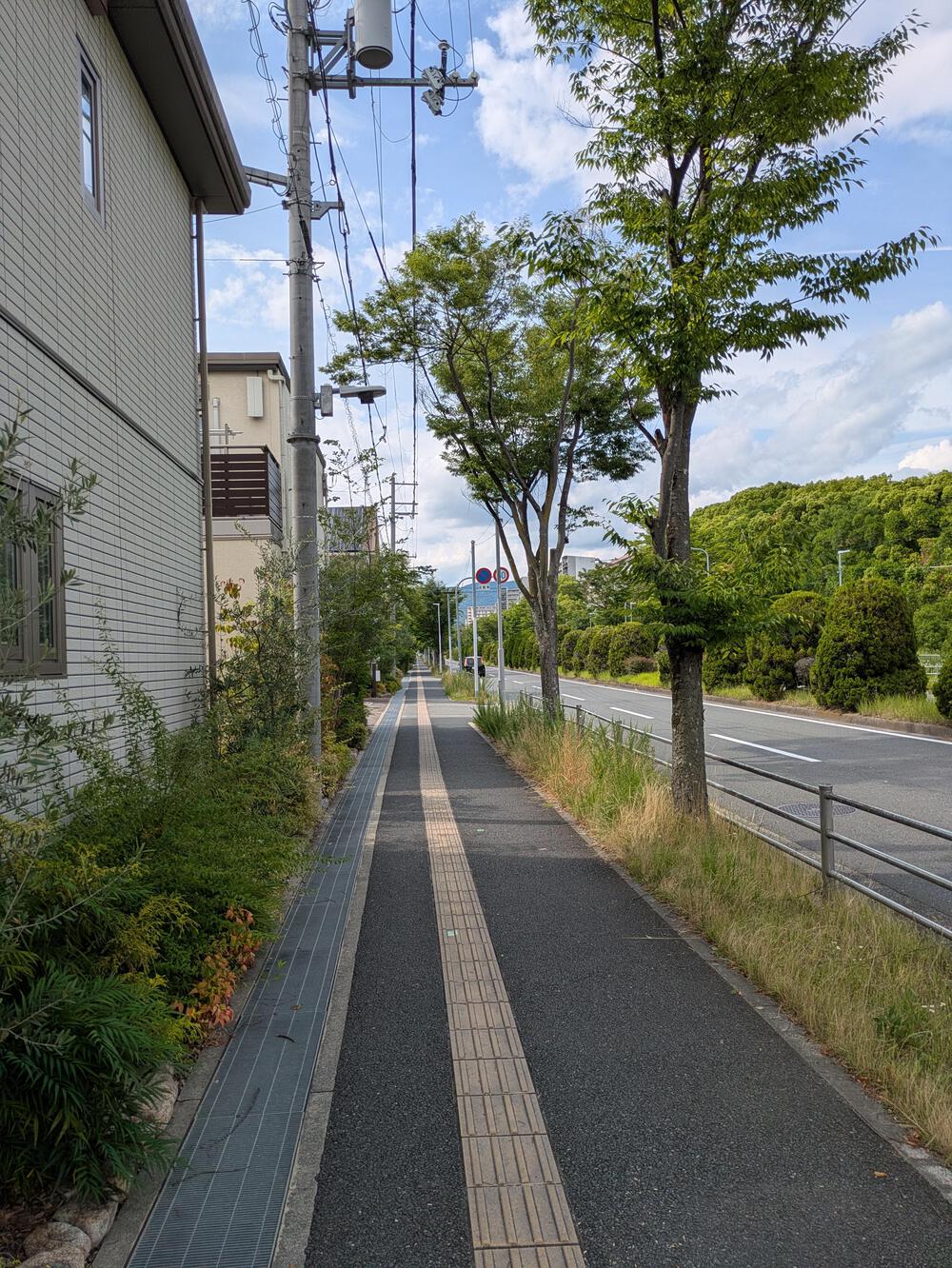 【北摂の緑を大満喫！】箕面温泉水春発着・阪大キャンパス＆万博外周を巡る爽快10kmコースの写真3