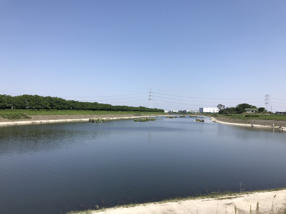 幸手権現堂から権現堂川堤周回コースの写真3