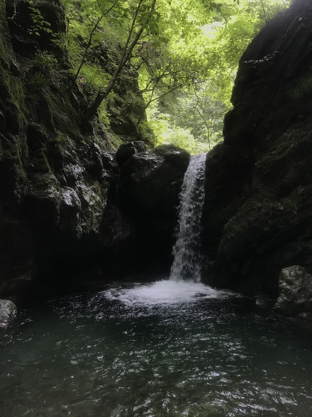 99%トレイル！20K 芦ヶ久保駅〜二子山〜焼山〜武川岳〜妻坂峠〜大持山〜武甲山〜浦山口駅の写真7