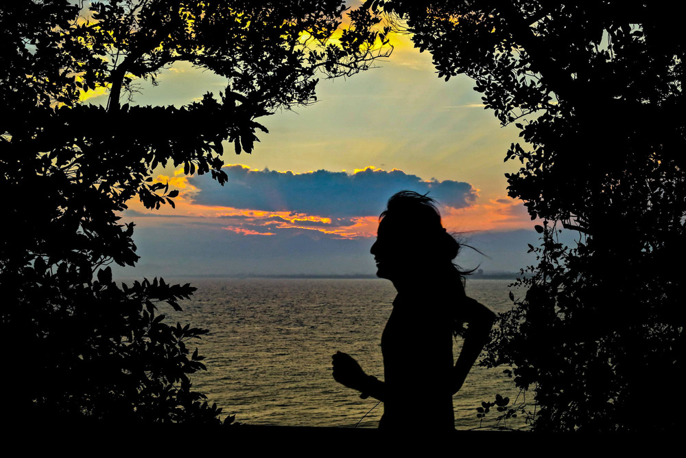 湘南セントラル・シーサイドコースの写真6