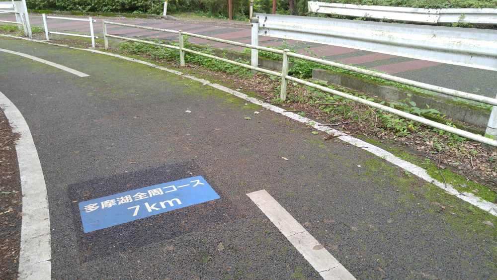 西武ドームを望みつつ多摩湖一周の写真3