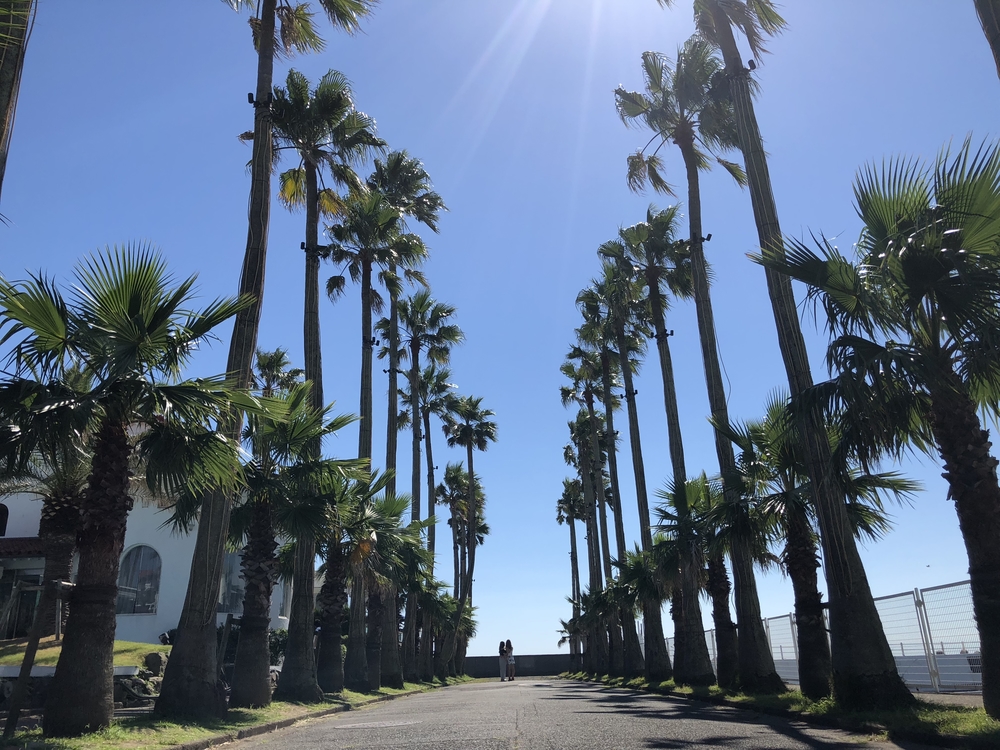 鎌倉から葉山を目指す極上サンセットラン10kmの写真3