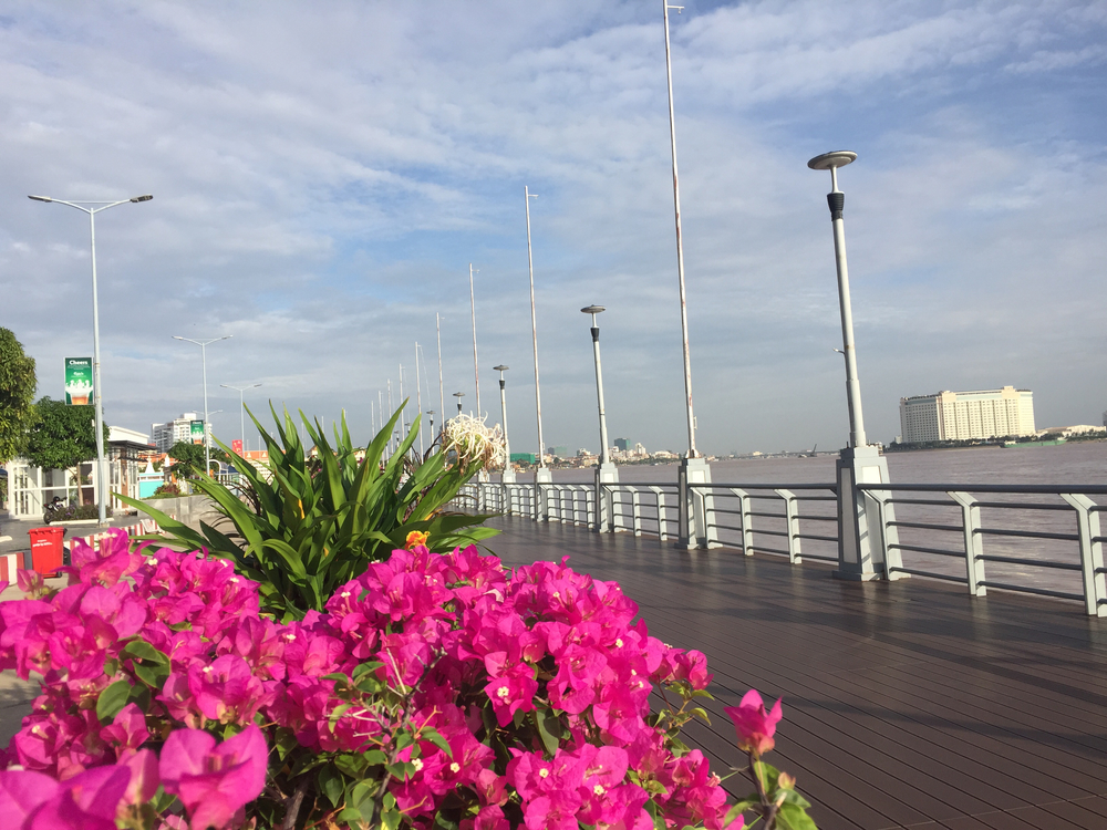 出張朝ラン メコン川の様にゆらゆらと…の写真4