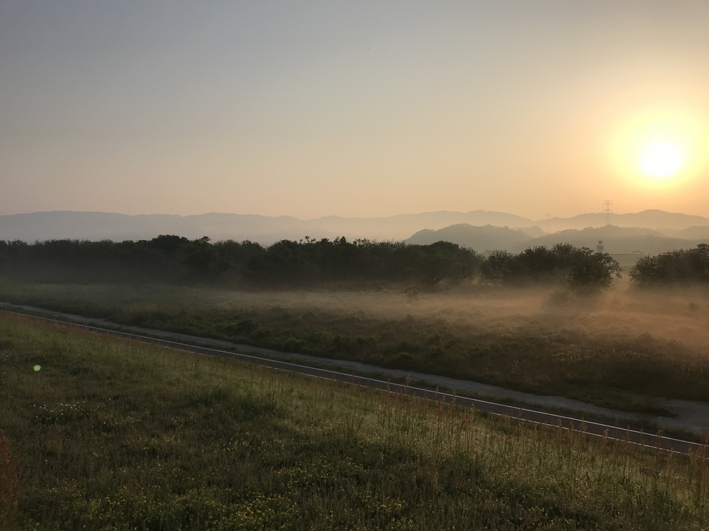 早朝木津川ランの写真3