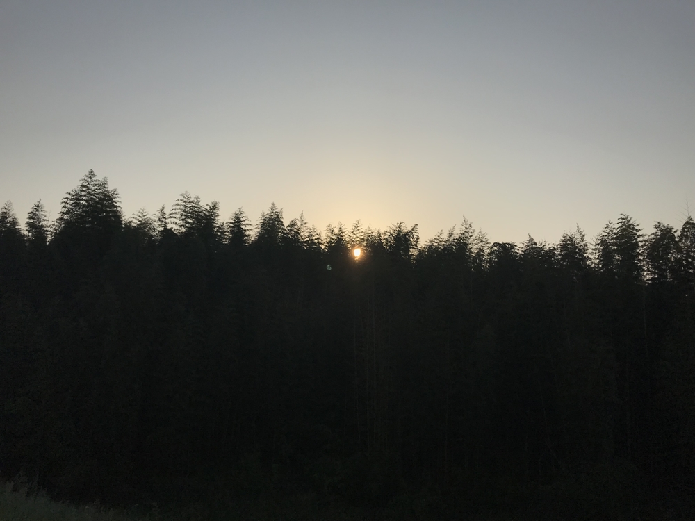 早朝木津川ランの写真4