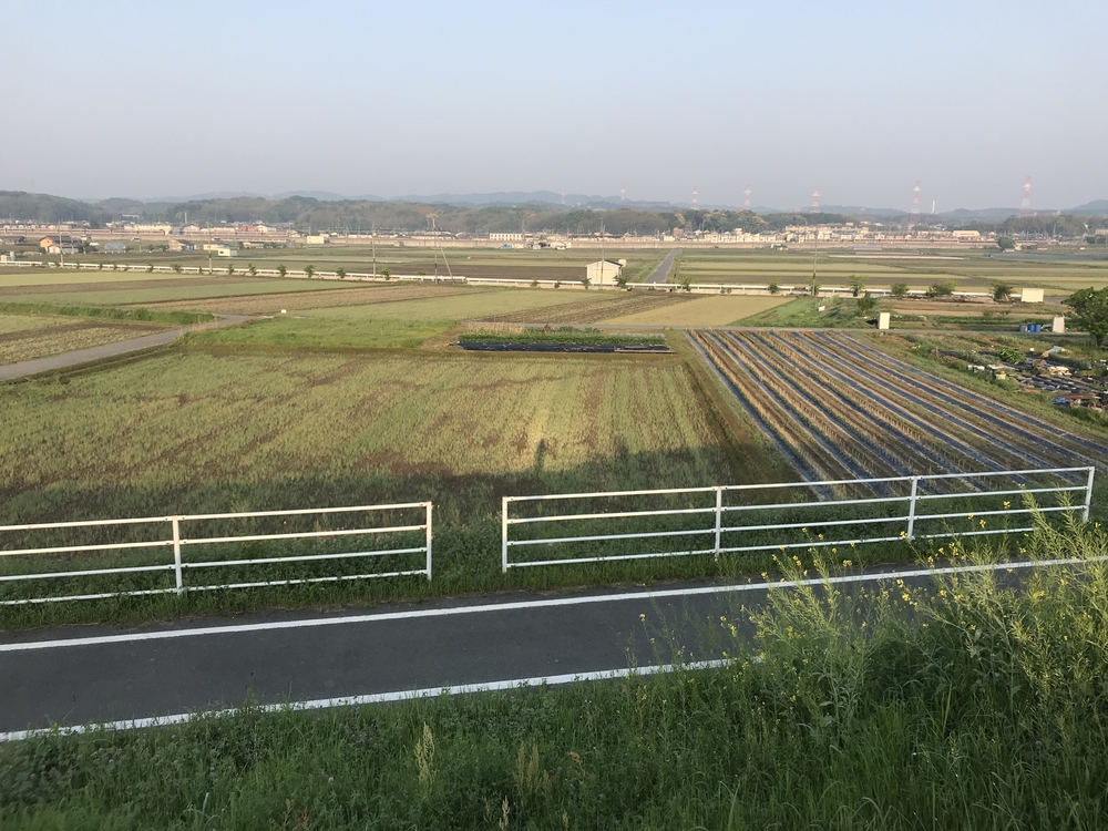 早朝木津川ランの写真5