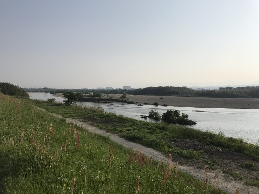 早朝木津川ランの写真9