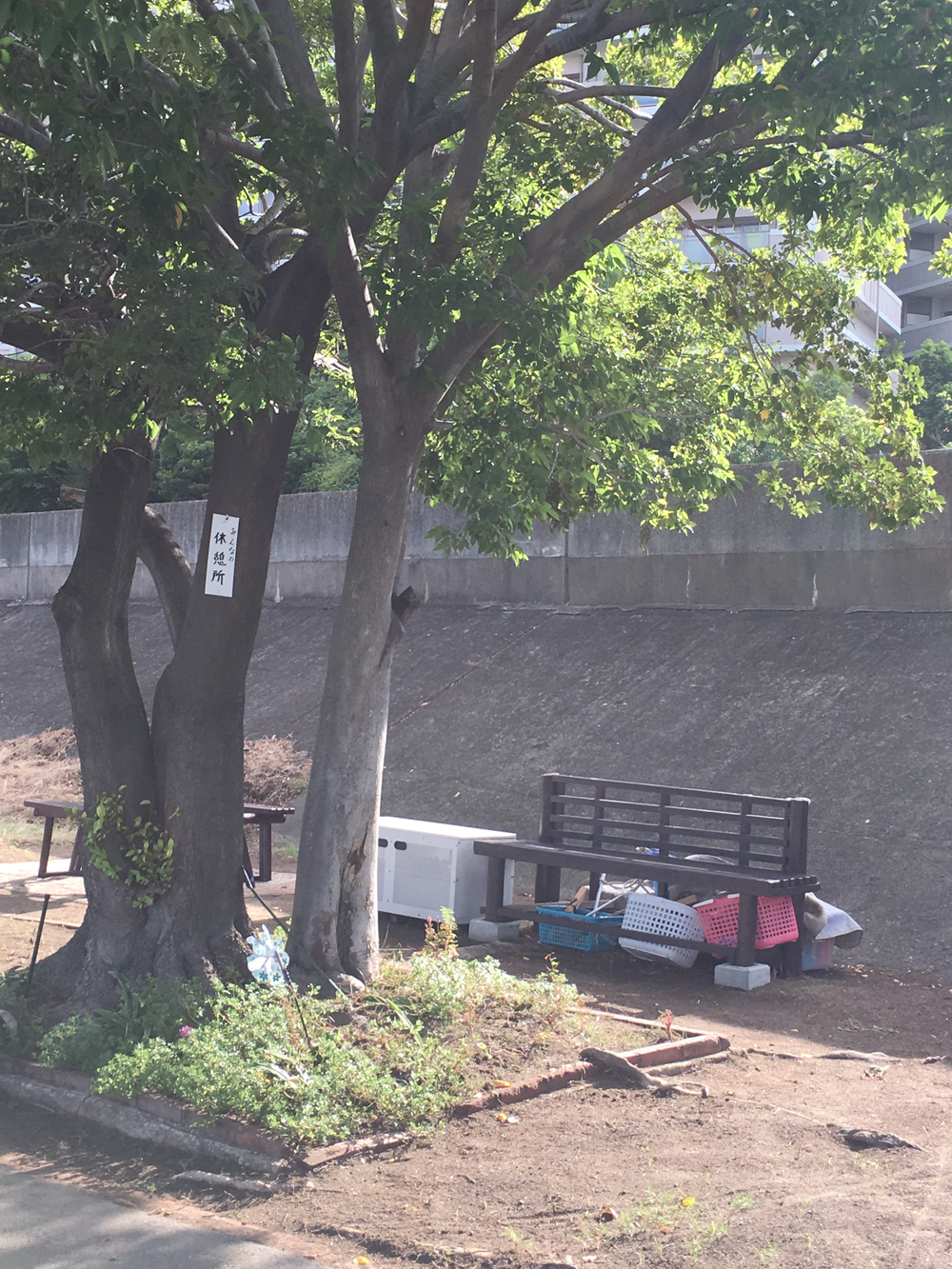 新大阪駅から神崎川→淀川周回コースの写真8