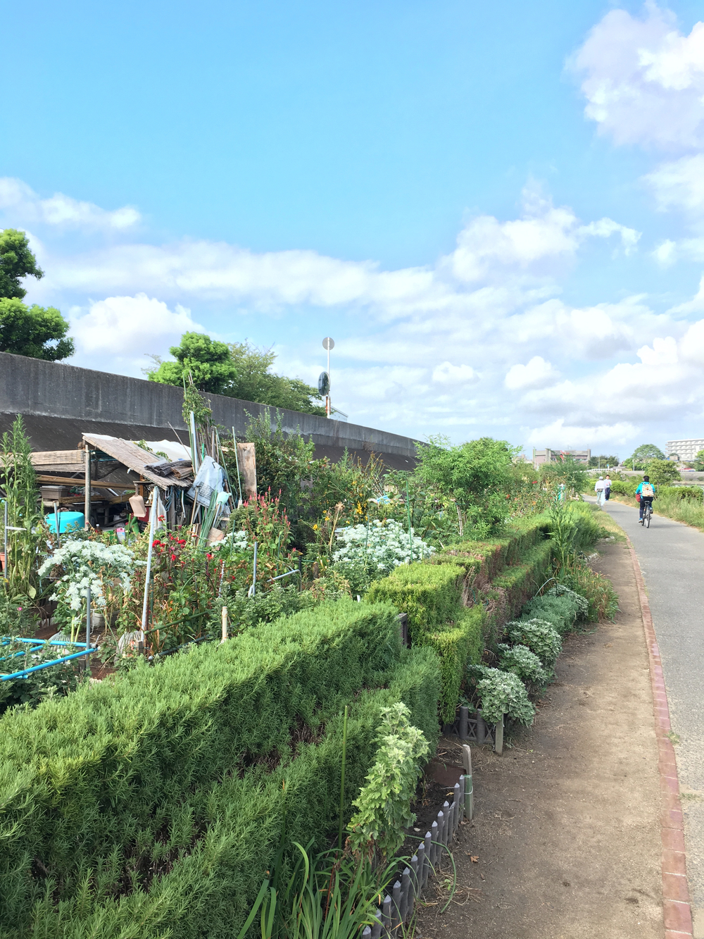 新大阪駅から神崎川→淀川周回コースの写真9