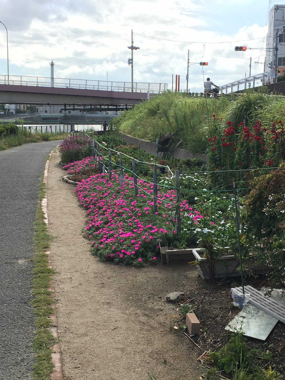 新大阪駅から神崎川→淀川周回コースの写真10