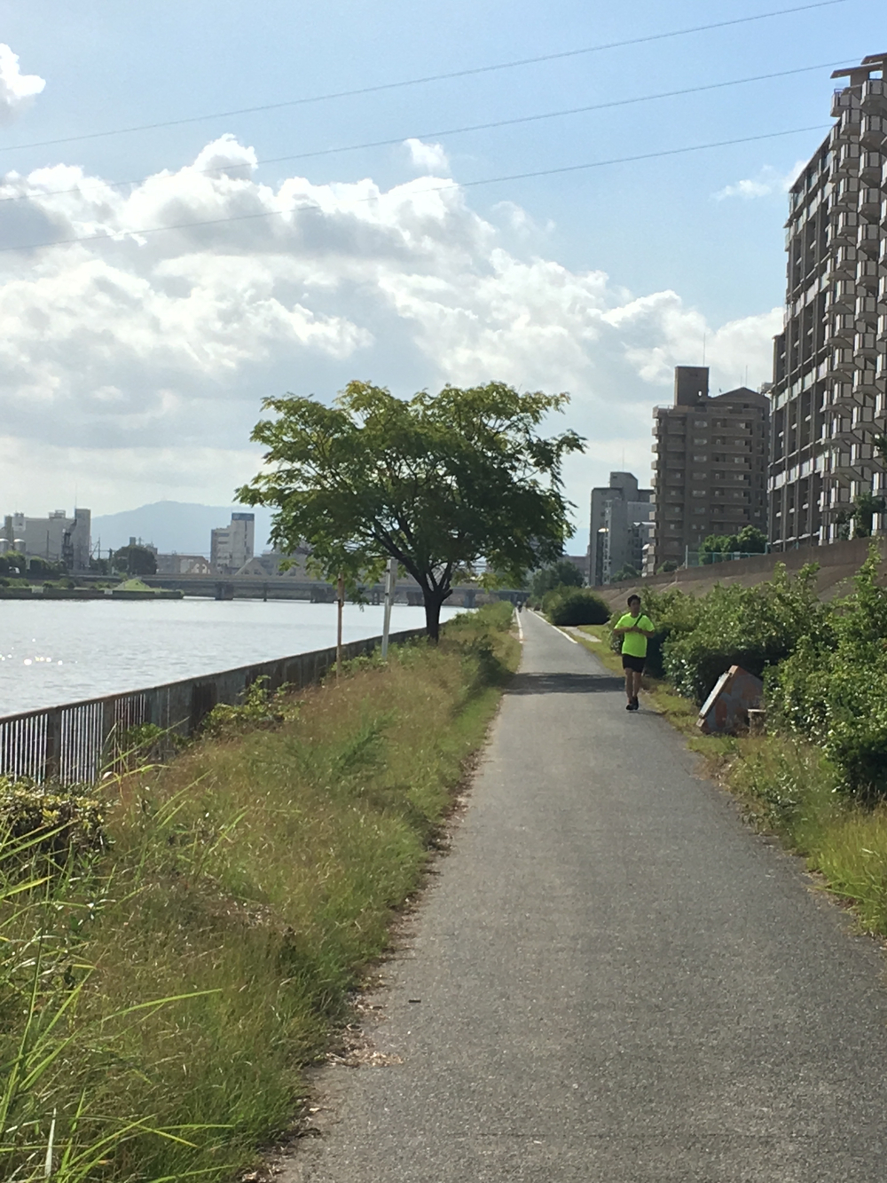 新大阪駅から神崎川→淀川周回コースの写真12