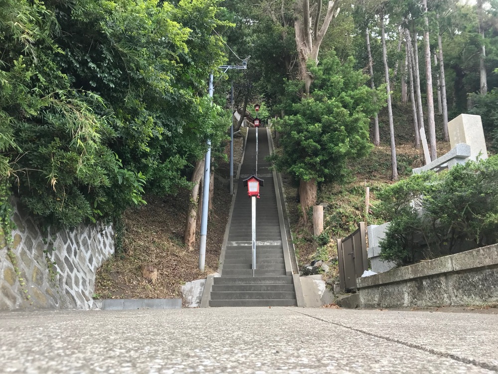 館山湾一望の絶景 崖観音までの往復10kmコースの写真6