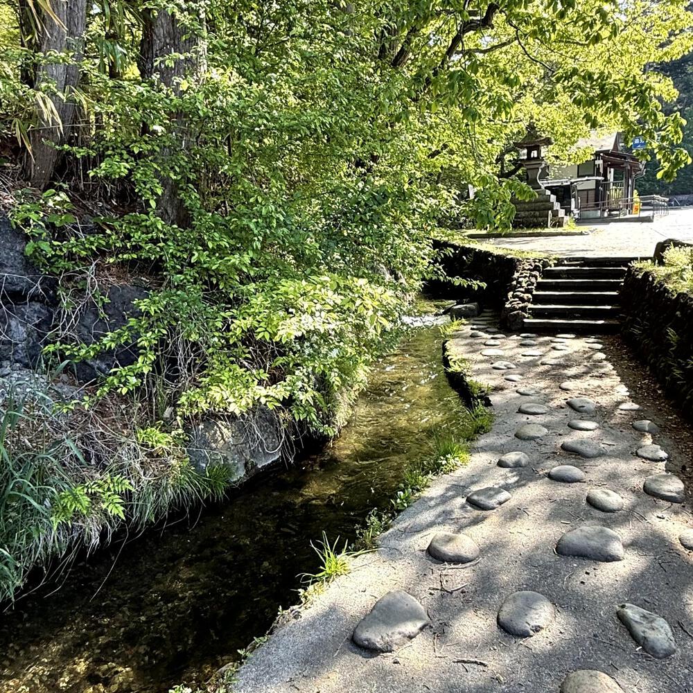 信濃追分「コスモス街道の碑」と御影用水（千ケ滝湯川用水温水路）の写真4