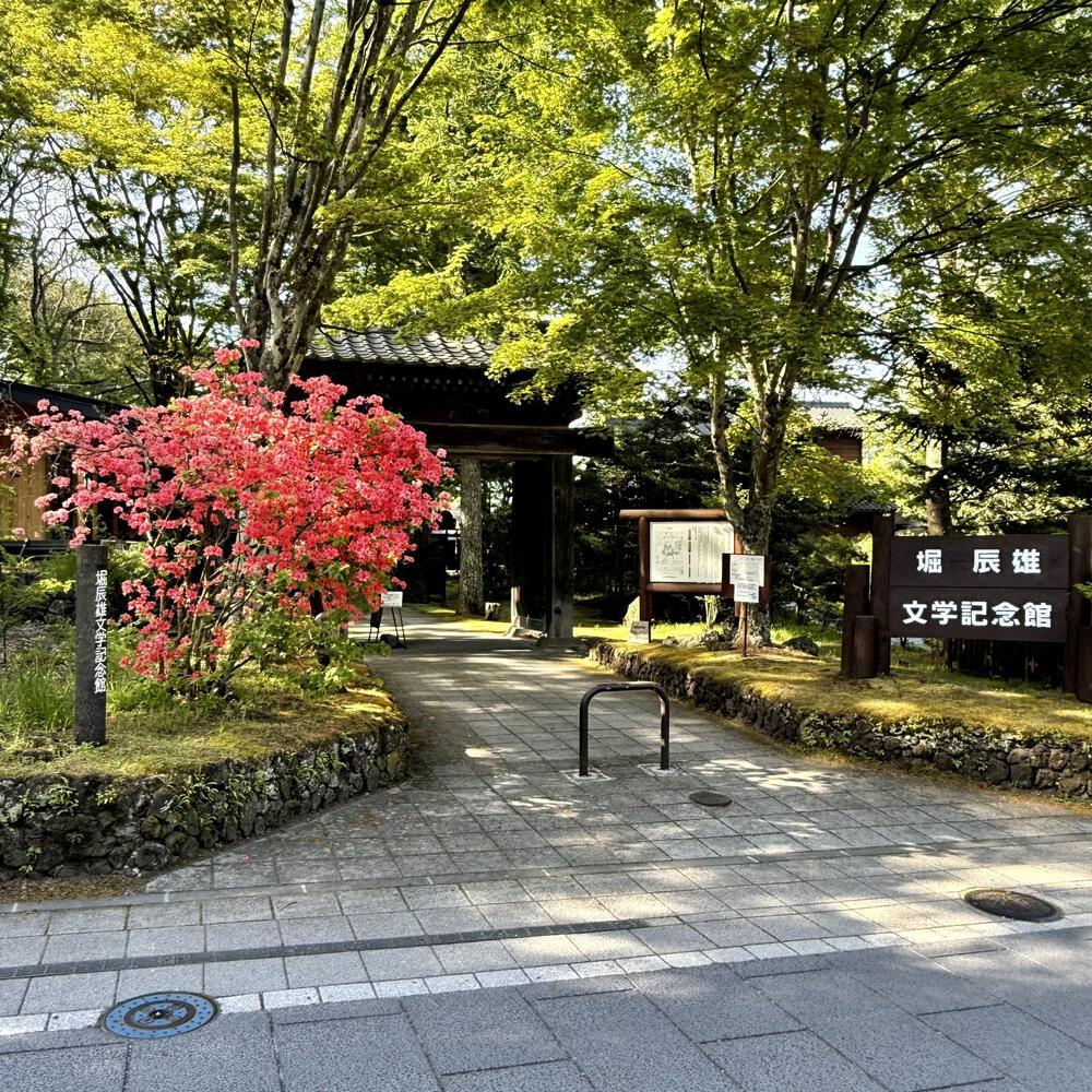 信濃追分「コスモス街道の碑」と御影用水（千ケ滝湯川用水温水路）の写真5