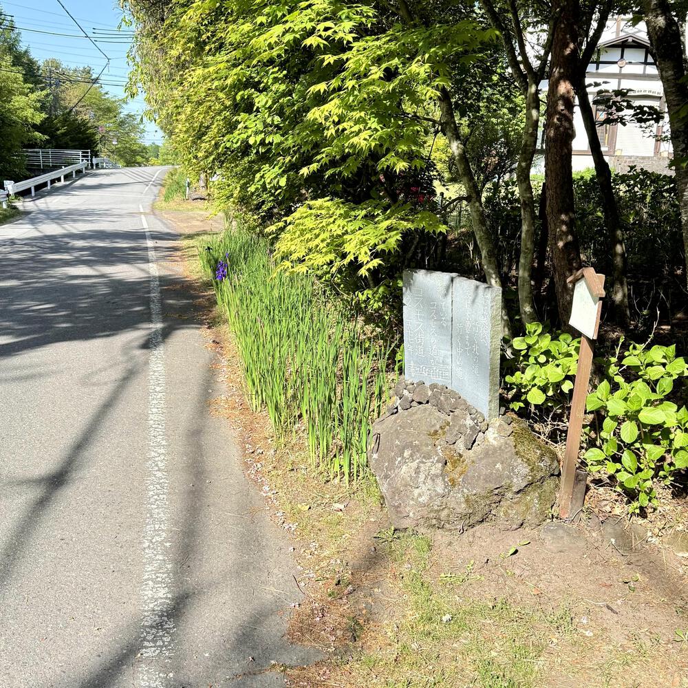 信濃追分「コスモス街道の碑」と御影用水（千ケ滝湯川用水温水路）の写真10