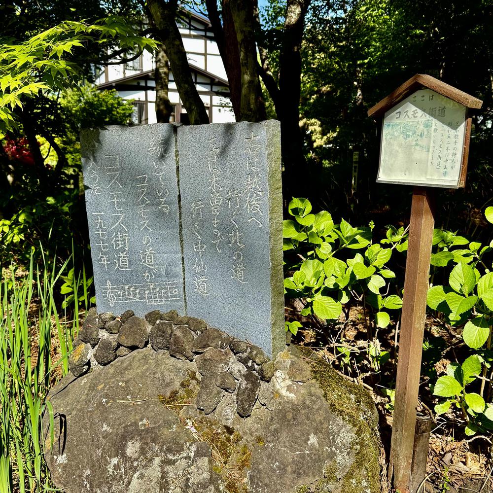 信濃追分「コスモス街道の碑」と御影用水（千ケ滝湯川用水温水路）の写真11
