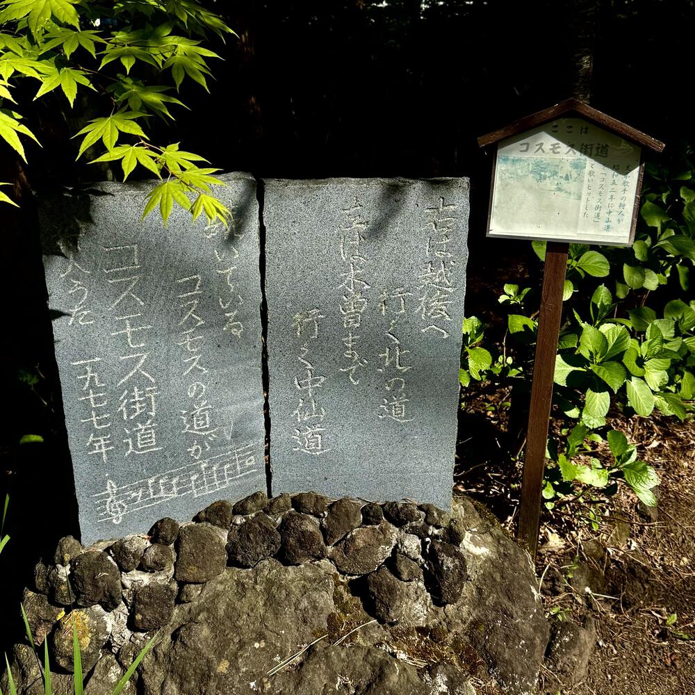 信濃追分「コスモス街道の碑」と御影用水（千ケ滝湯川用水温水路）の写真12