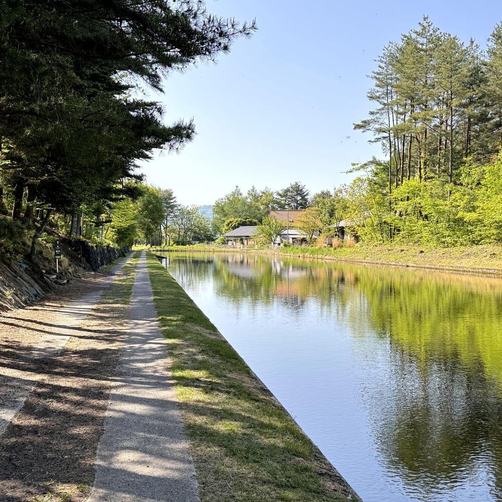 信濃追分「コスモス街道の碑」と御影用水（千ケ滝湯川用水温水路）の写真15