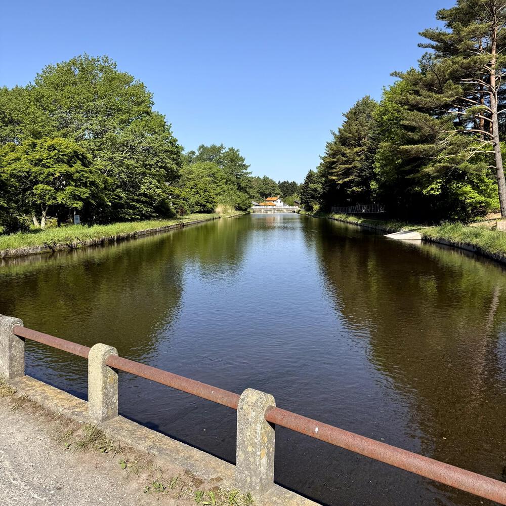 信濃追分「コスモス街道の碑」と御影用水（千ケ滝湯川用水温水路）の写真19