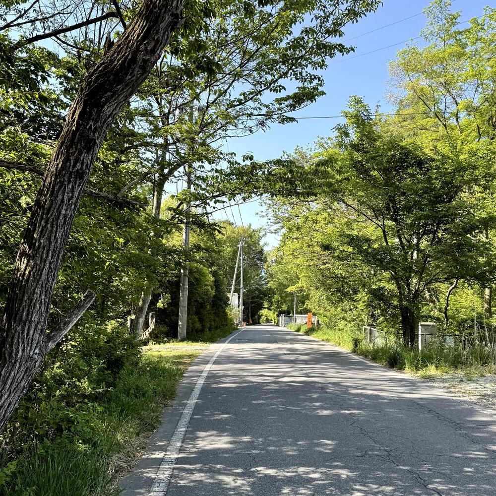 信濃追分「コスモス街道の碑」と御影用水（千ケ滝湯川用水温水路）の写真21
