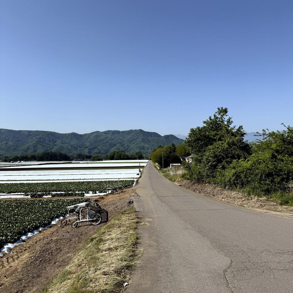 信濃追分「コスモス街道の碑」と御影用水（千ケ滝湯川用水温水路）の写真24
