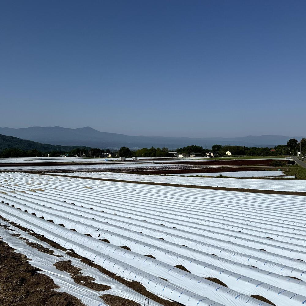 信濃追分「コスモス街道の碑」と御影用水（千ケ滝湯川用水温水路）の写真27